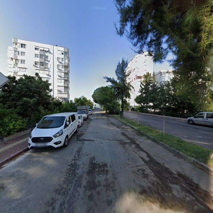 Fotoğraf 11