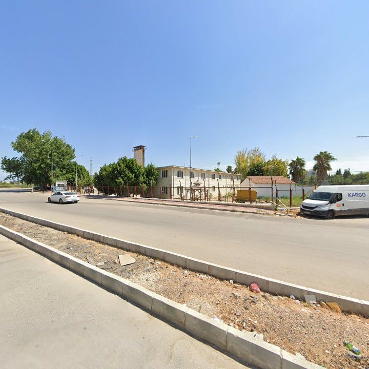 Fotoğraf 9