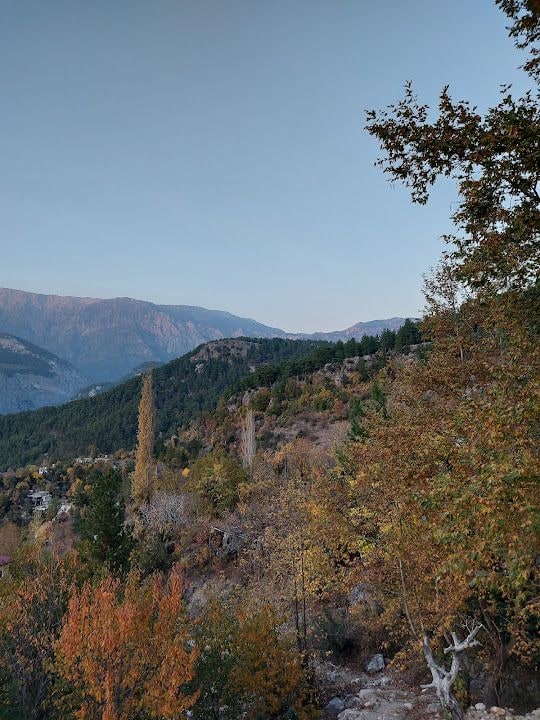 Tolganın Bahçesi