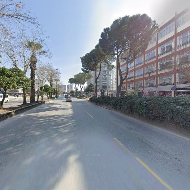 Fotoğraf 11