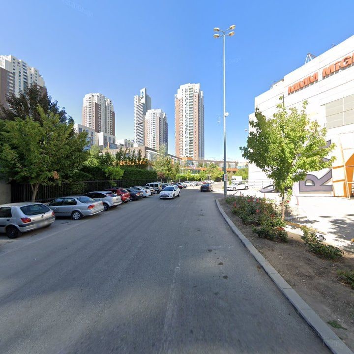Fotoğraf 9