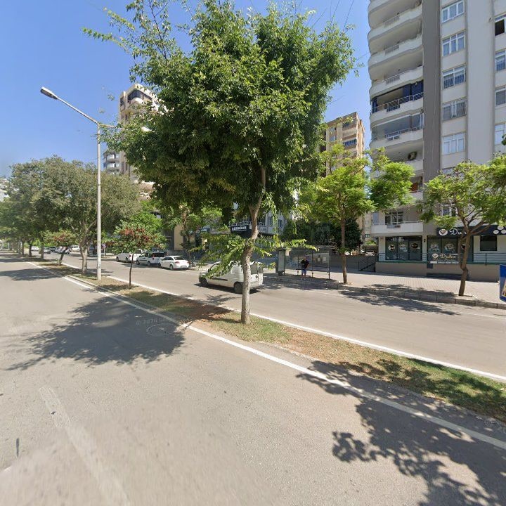 Fotoğraf 11