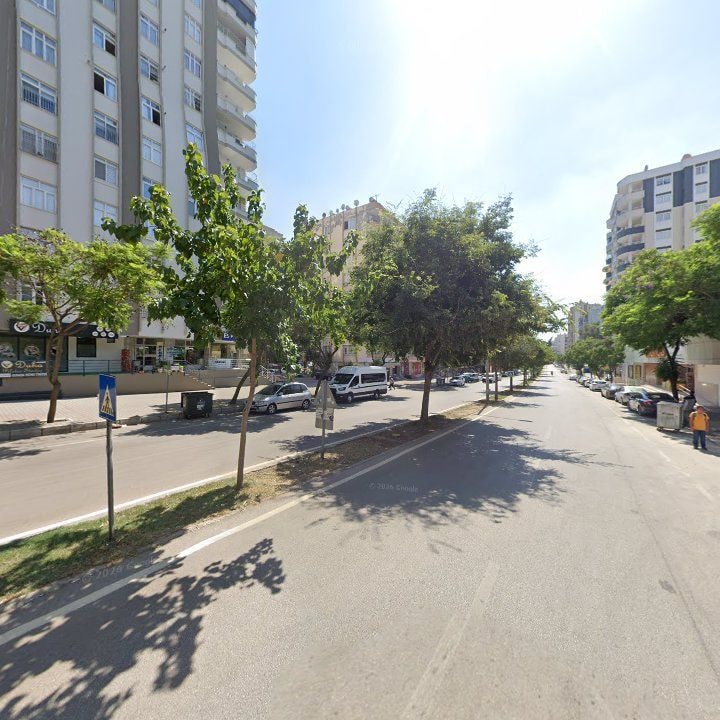 Fotoğraf 12
