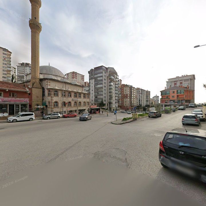 Fotoğraf 7