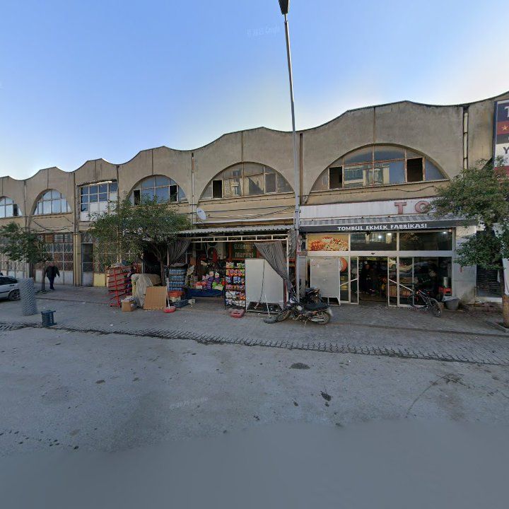 Fotoğraf 6