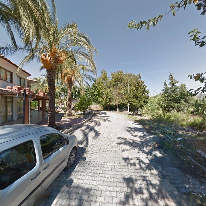 Fotoğraf 8