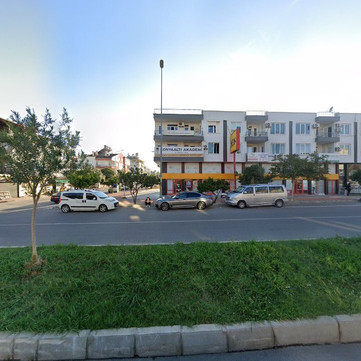 Fotoğraf 11