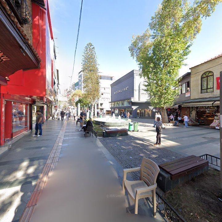 Fotoğraf 12