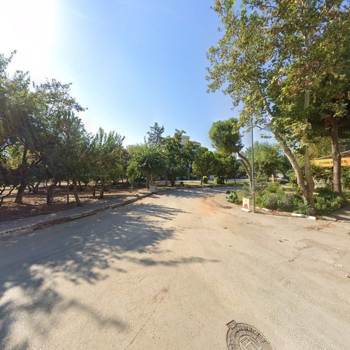 Fotoğraf 7