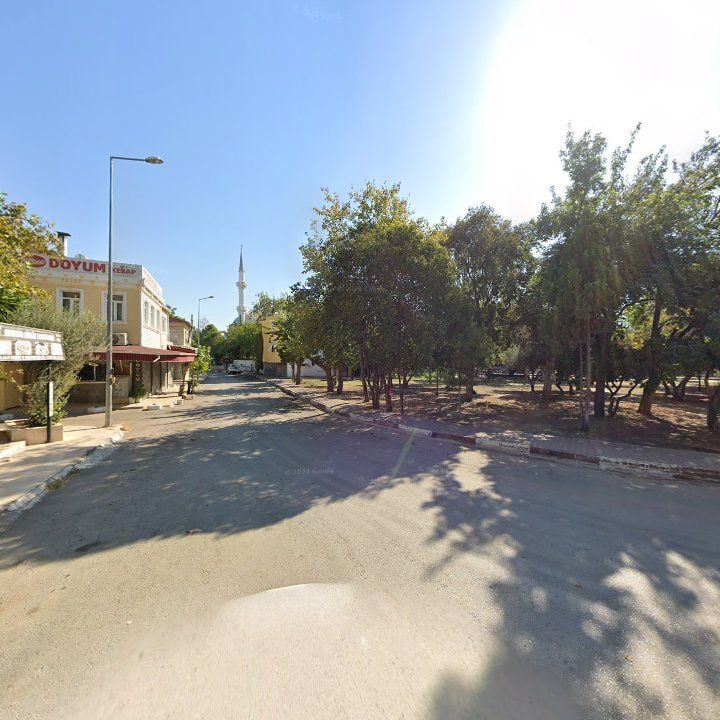 Fotoğraf 6