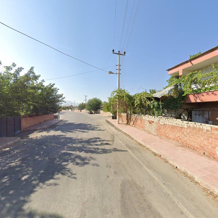 Fotoğraf 2