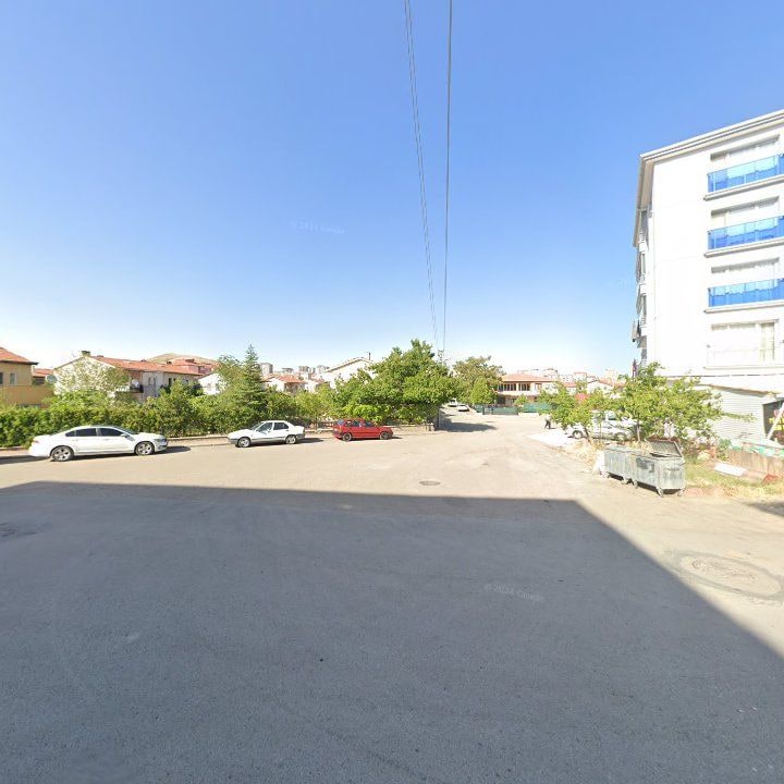 Fotoğraf 9