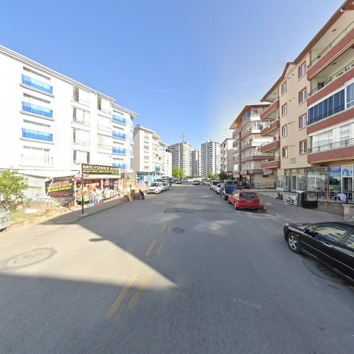 Fotoğraf 10