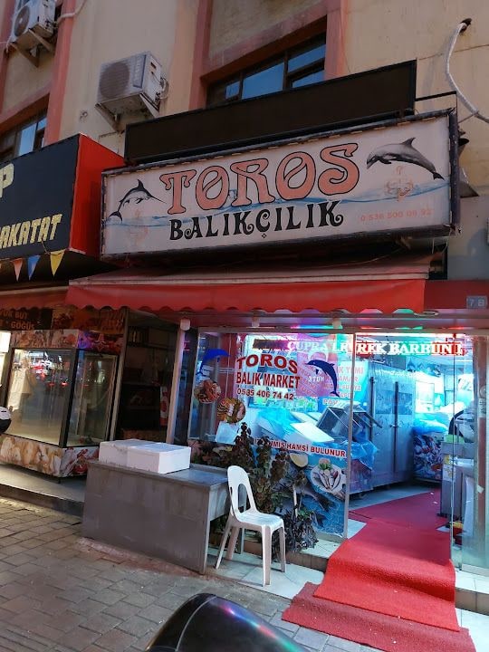 Toros Balikçilik