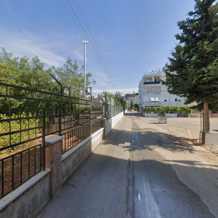Fotoğraf 8