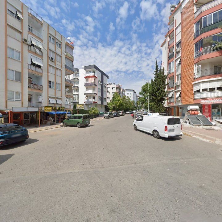 Fotoğraf 8
