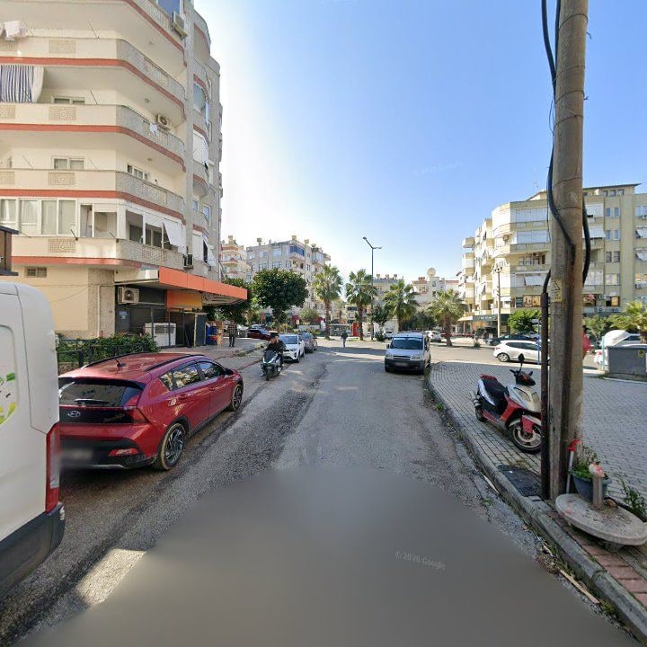Fotoğraf 12
