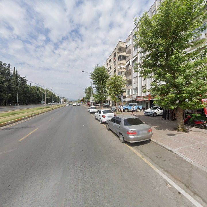 Fotoğraf 6