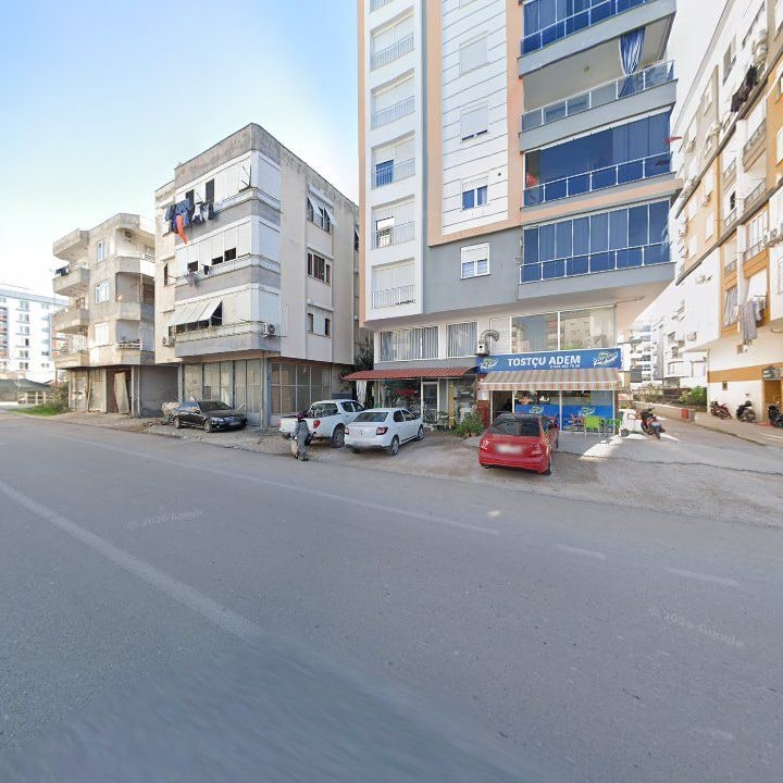 Fotoğraf 7
