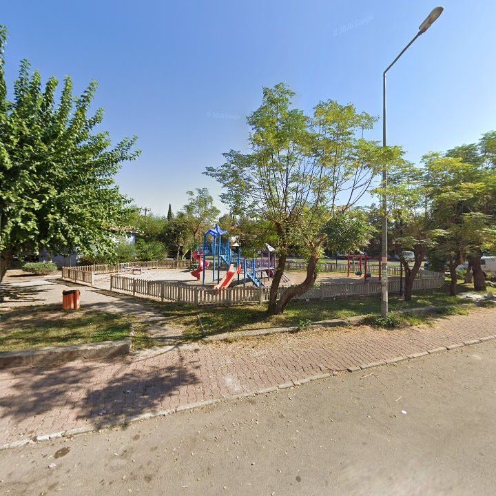 Fotoğraf 6