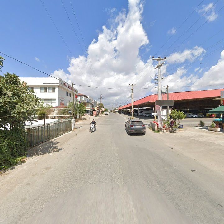 Fotoğraf 10