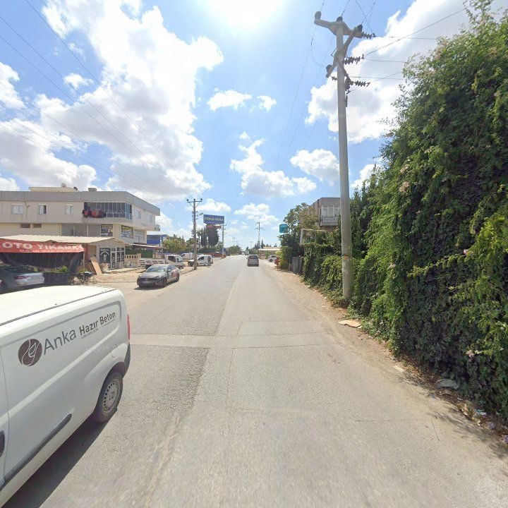 Fotoğraf 8