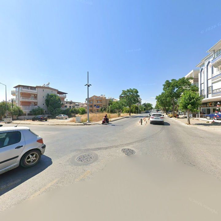 Fotoğraf 11