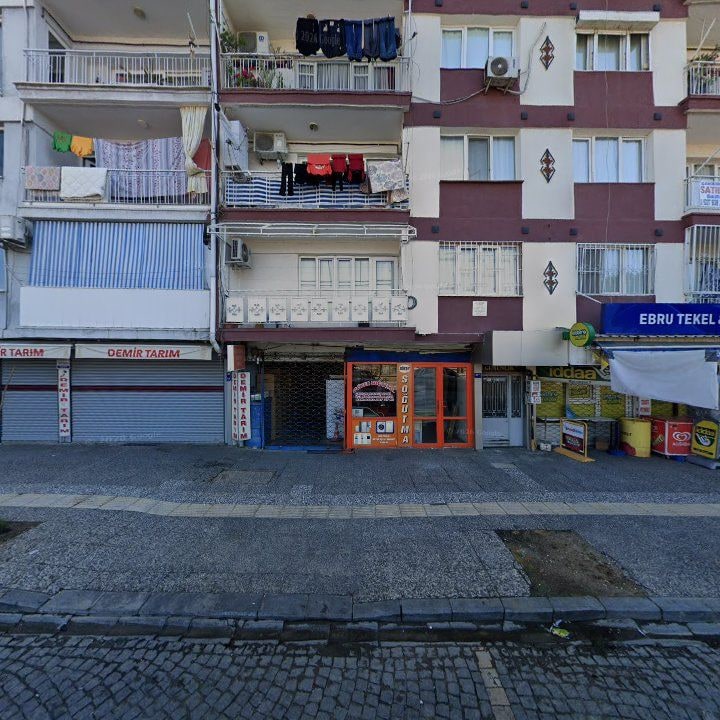 Fotoğraf 6