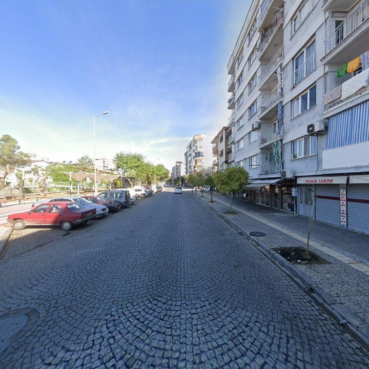Fotoğraf 9