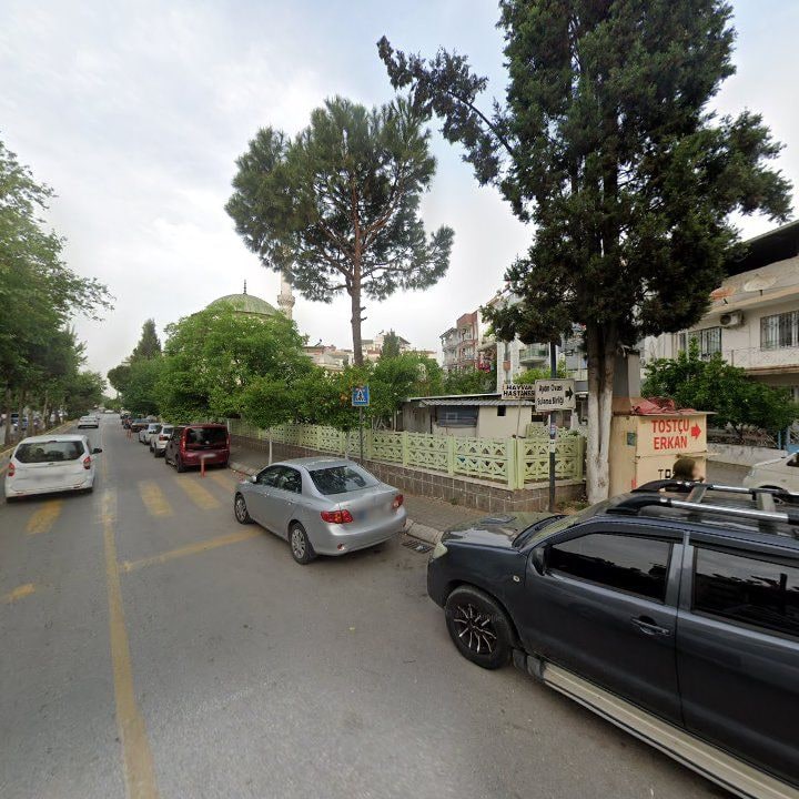 Fotoğraf 9