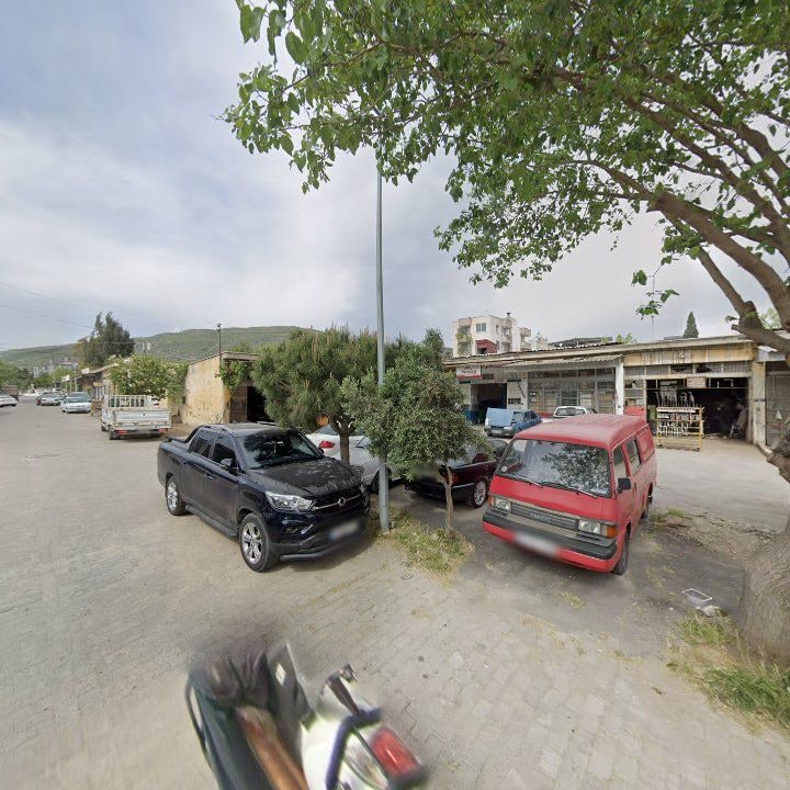 Fotoğraf 9