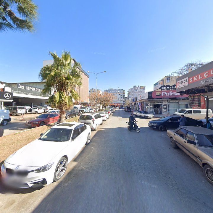 Fotoğraf 7