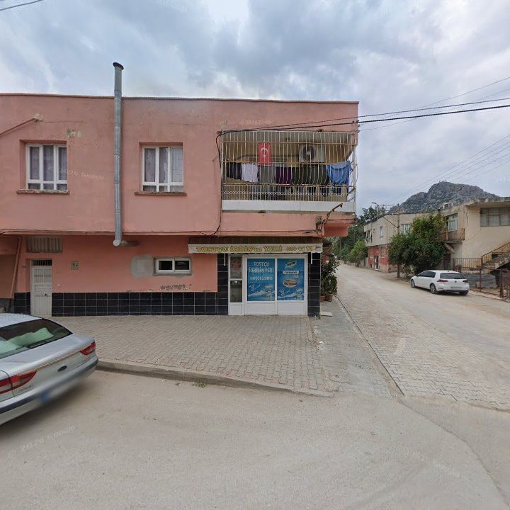 Fotoğraf 6
