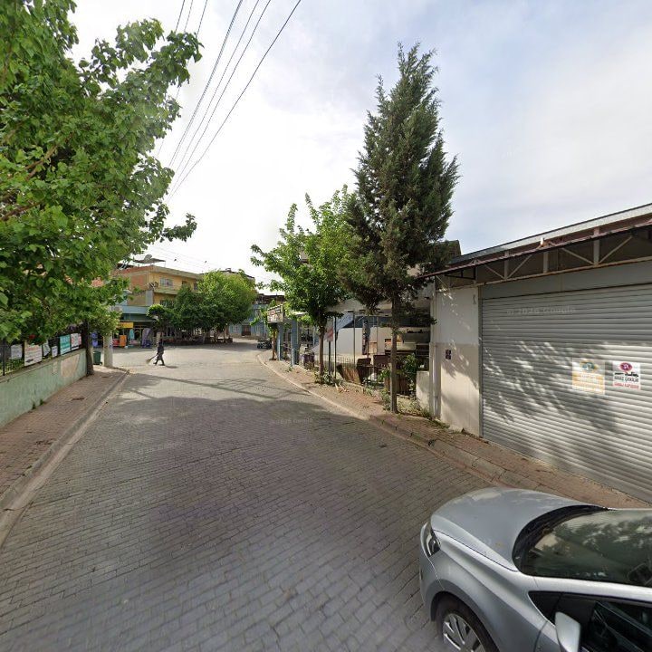 Fotoğraf 4