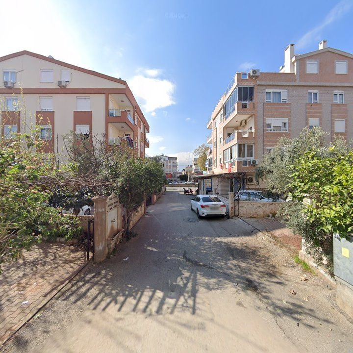 Fotoğraf 9
