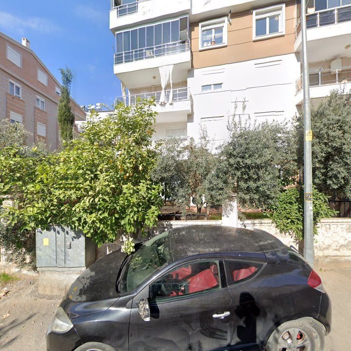 Fotoğraf 10