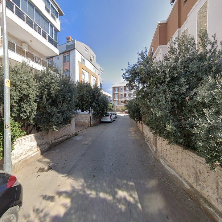 Fotoğraf 11