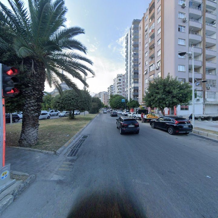 Fotoğraf 8