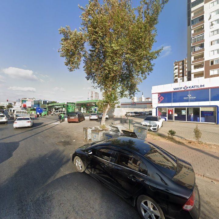 Fotoğraf 3