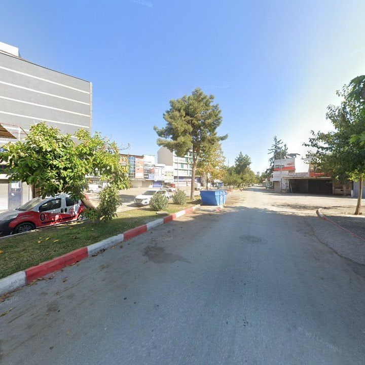Fotoğraf 12
