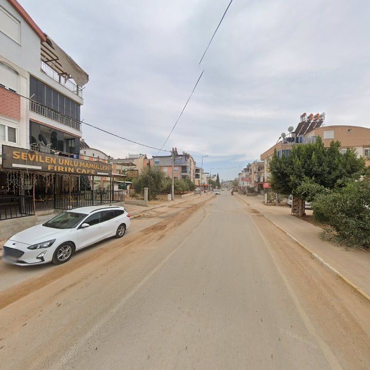 Fotoğraf 3