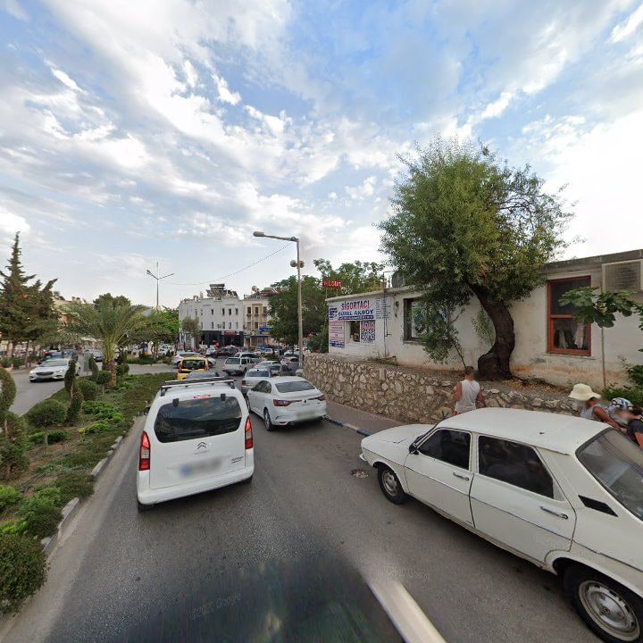 Fotoğraf 9