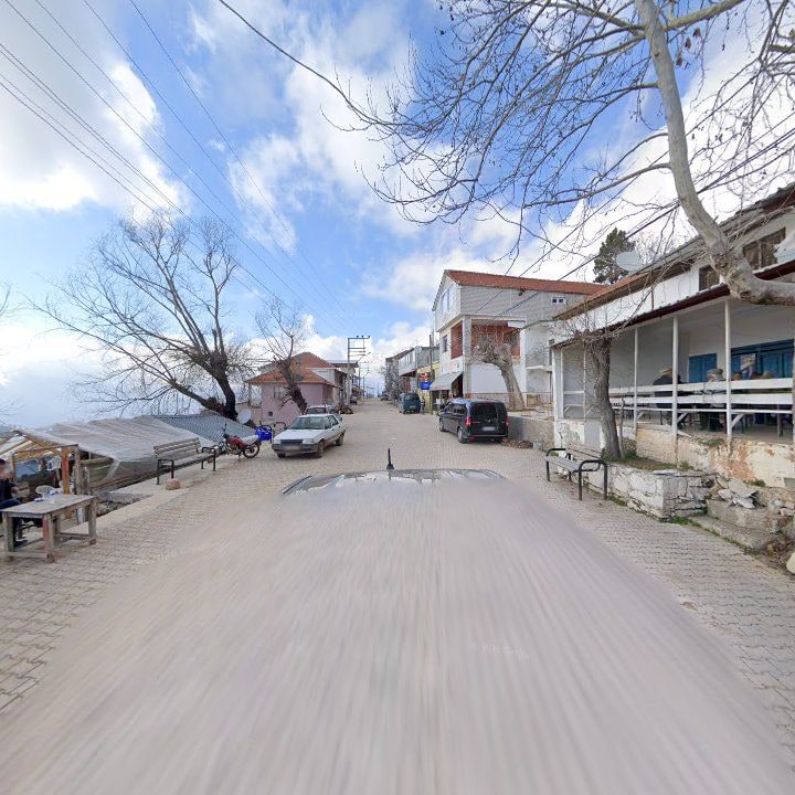 Fotoğraf 7