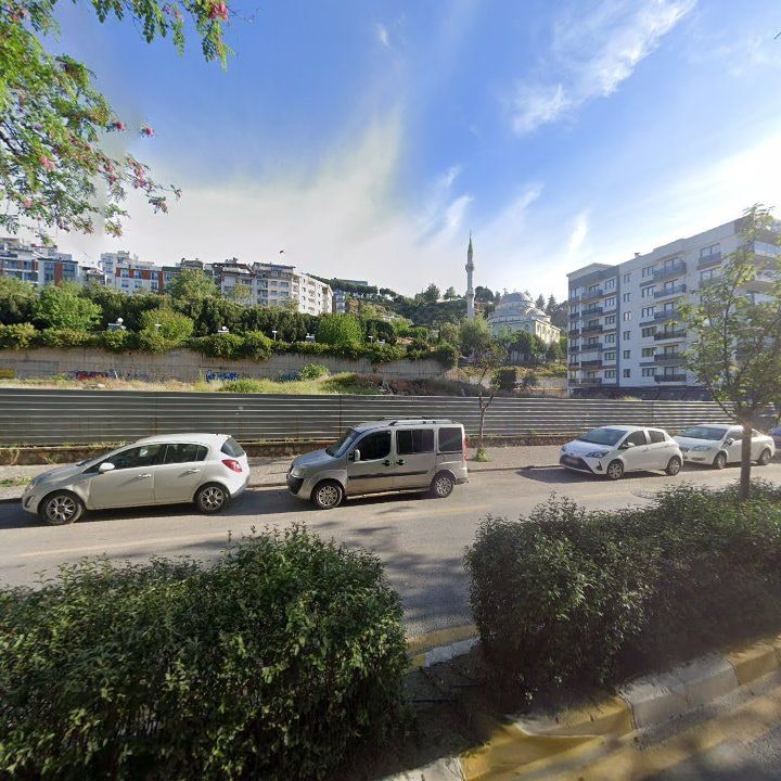 Fotoğraf 7