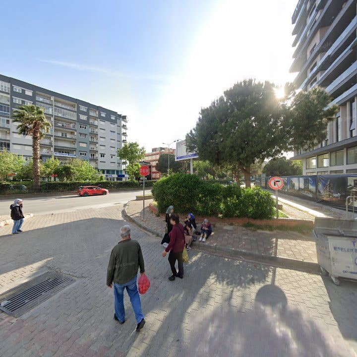Fotoğraf 8