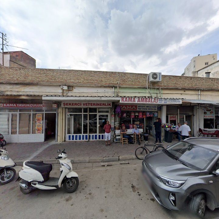 Fotoğraf 9