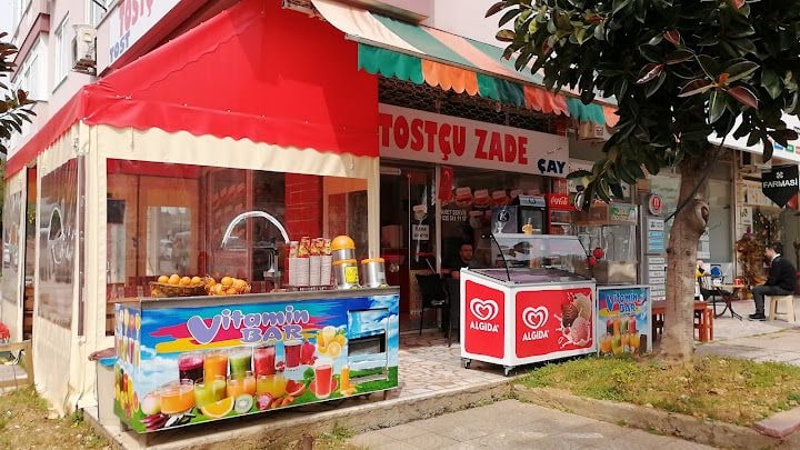 Tostçu Zade