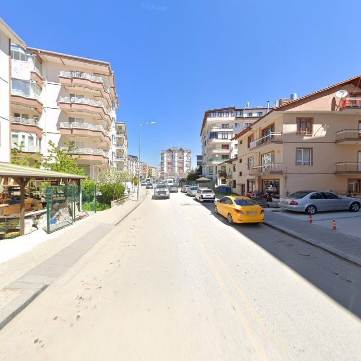 Fotoğraf 10