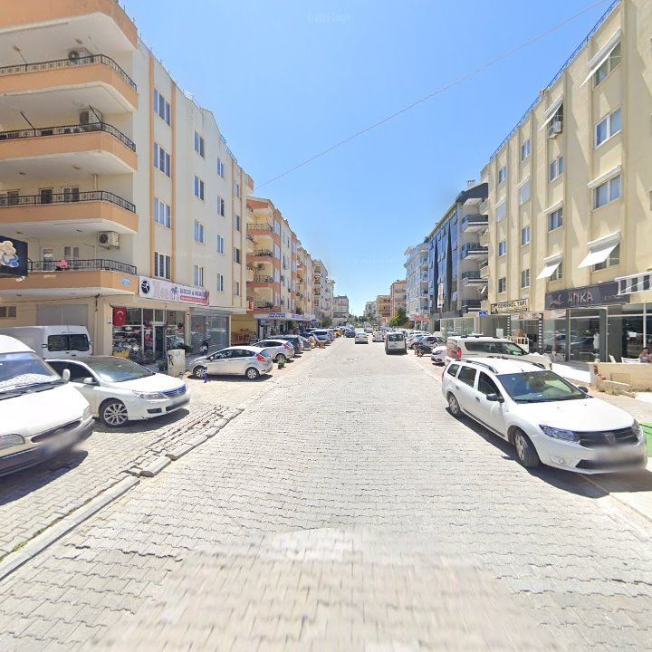 Fotoğraf 10