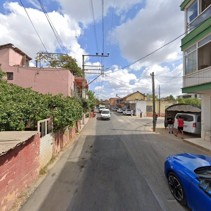 Fotoğraf 7